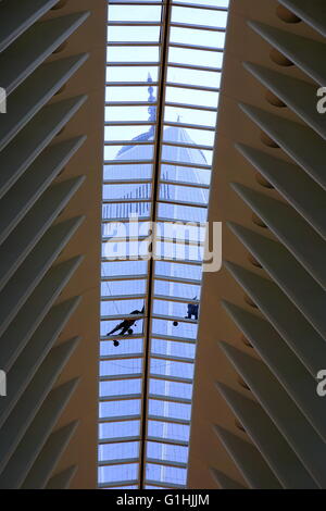 Männer, die auf das WTC Oculus Glas Dach/Dachfenster, New York City, NY, USA Stockfoto