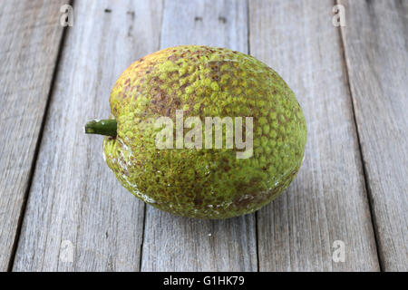 Frische Brotfrüchte oder auch bekannt als Artocarpus Altilis auf hölzernen Hintergrund Stockfoto