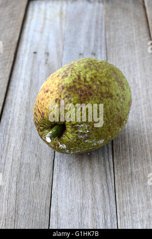 Frische Brotfrüchte oder auch bekannt als Artocarpus Altilis auf hölzernen Hintergrund Stockfoto