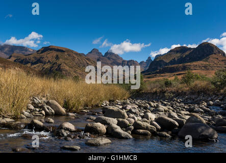 Fluss in der Nähe von Cathedral Peak, Drakensberge, KwaZulu Natal, Südafrika Stockfoto