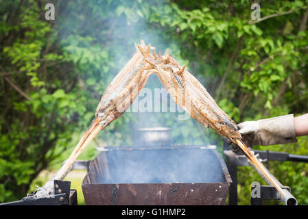 Fisch am Stiel wie Forelle, Saibling oder Felchen über glühende Kohle gegrillt ein traditioneller Grill Essen in Bayern, Deutschland ist Stockfoto