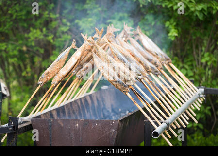 Fisch am Stiel wie Forelle, Saibling oder Felchen über glühende Kohle gegrillt ein traditioneller Grill Essen in Bayern, Deutschland ist Stockfoto