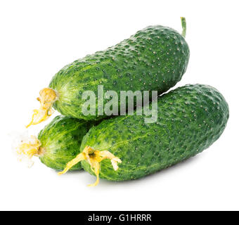 Frische reife grüne Gurken isoliert auf weißem Hintergrund. Stockfoto