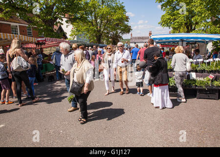 Alresford Brunnenkresse Festival 2016, New Alresford, Hampshire, England, Vereinigtes Königreich. Stockfoto