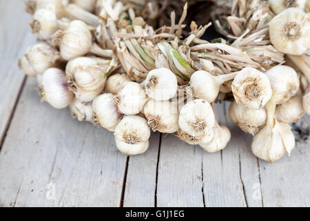 Eine Menge der Knoblauchzehen miteinander verbunden Stockfoto