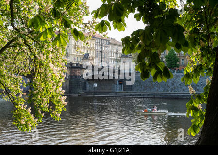 Menschen genießen täglich Sommer Gras, Strelecky Ostrov, Prag, Tschechische Republik Stockfoto