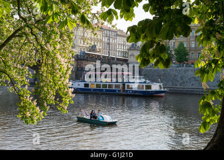 Menschen genießen täglich Sommer Gras, Strelecky Ostrov, Prag, Tschechische Republik Stockfoto