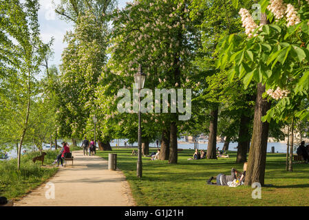 Menschen genießen täglich Sommer Gras, Strelecky Ostrov, Prag, Tschechische Republik Stockfoto