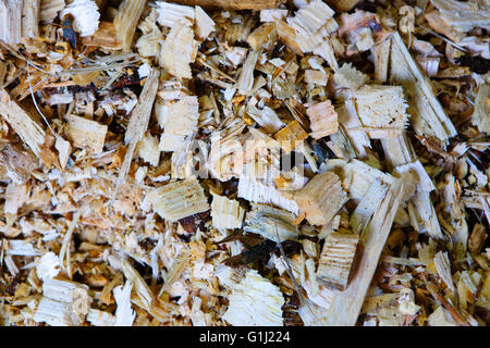 Holz-Chip bereit, in The Western Wood Energy Plant in Port Talbot, Wales eingespeist werden. Stockfoto