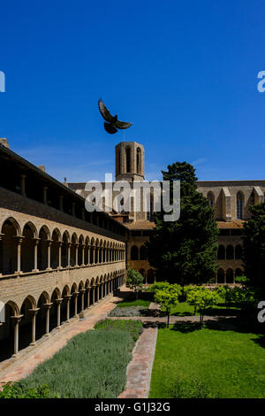 Barcelona Stockfoto