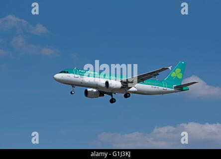 Aer Lingus Airbus A 320-214 zivile Passagierflugzeuge ("St Shira") nähert sich LHR London Heathrow Flughafen.  SCO 10.371 Stockfoto