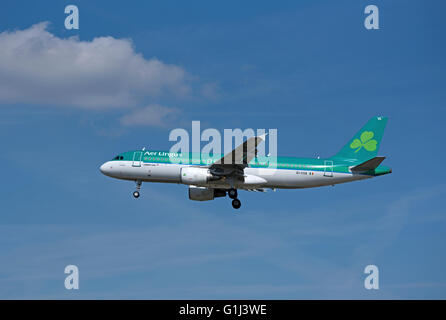 Aer Lingus Airbus A 320-214 zivile Passagierflugzeuge ("St Shira") nähert sich LHR London Heathrow Flughafen.  SCO 10.372. Stockfoto