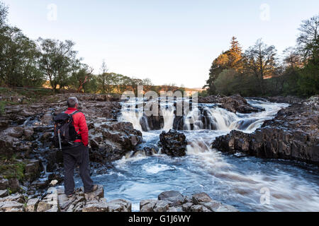 Geringe Kraft, Bowlees, Teesdale, County Durham UK.  Montag, 16. Mai 2016. Großbritannien Wetter.  Wanderer genießen einen schönen Start in den Tag bei einem Spaziergang entlang des Flusses Tees in der Nähe von Low Force im oberen Teesdale. Bildnachweis: David Forster/Alamy Live-Nachrichten Stockfoto