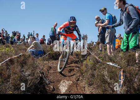 Carrick Berg, Co Wicklow, Irland. 15. Mai 2016. Smaragd Enduro World Series Mountainbike Fahrrad bergab auf Carrick Berg im County Wicklow racing war, Nico Lau, aus Frankreich, die Herren Rennen. Bildnachweis: Peter Cavanagh/Alamy Live-Nachrichten Stockfoto