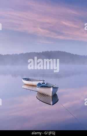 Loch Rusky, Aberfoyle, Trossachs, Schottland, UK. 17. Mai 2016. UK-Wetter: Misty Tagesanbruch über Loch Rusky, Aberfoyle Stockfoto