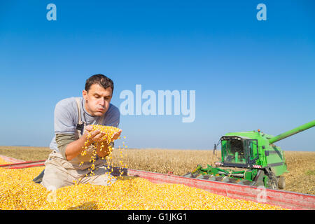 Landwirt bläst Staub aus geerntet frisch Mais Maiskörner Stockfoto