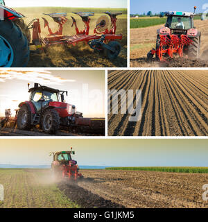 Landwirtschaftlichen Collage des Traktors Pflügen der Felder Stockfoto