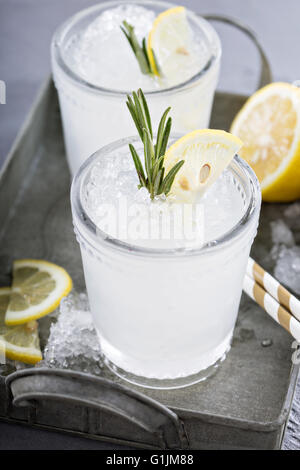 Zitronen-Rosmarin-cocktail auf einem Tablett Stockfoto