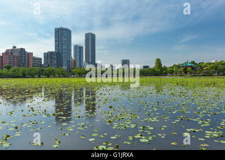 See in Ueno, Tokyo, Japan Stockfoto