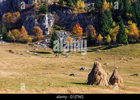 Herbstliche Berglandschaft mit Haycock auf der Wiese. Stockfoto