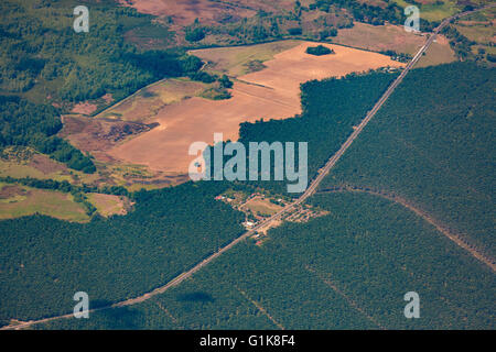 Costarica - Luftbild von Palmöl-Plantagen Stockfoto