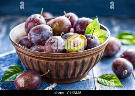 Pflaumen Stockfoto