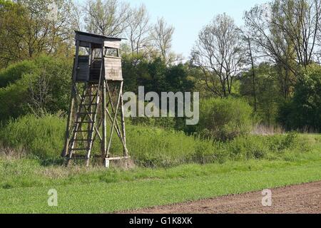 Hochsitz Wachen Feld Mais Stockfoto