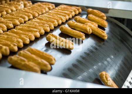 Gelbe Éclair Muscheln am Förderband. Stockfoto