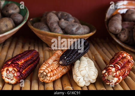 Sorten von Mais und Kartoffeln angebaut, in dem Dorf Chinchero in der Nähe von Cusco, Peru Stockfoto