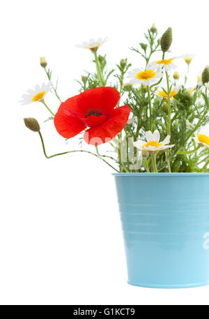 einfache Posy Mohn und Garland Chrysanthemen isoliert auf weißem Hintergrund Stockfoto