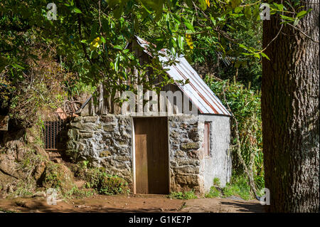 Steinhaus in der Balcoes Wanderweg in den Regenwäldern von Madeira Stockfoto