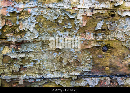 Abblätternde Farbe auf alten Holzboot. Stockfoto