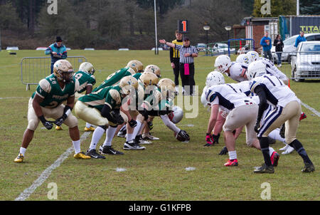 British American Football Bury Heiligen grün im Vergleich zu den Oxford-Heiligen in weiß Stockfoto