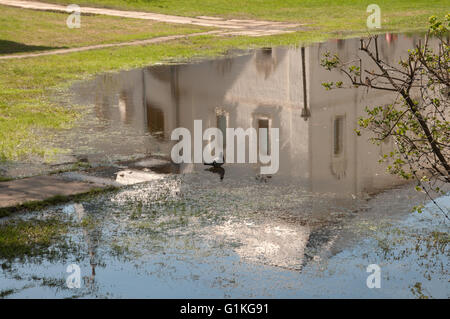 Rostov das große im Frühjahr, der Kreml Krasnye palaty (das rote Haus), Reflexion in einem Teich. Im goldenen Ring von Russland Stockfoto