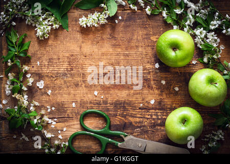Grüne Äpfel und Frühlingsblumen auf hölzernen Hintergrund. Platz für Text kopieren Stockfoto