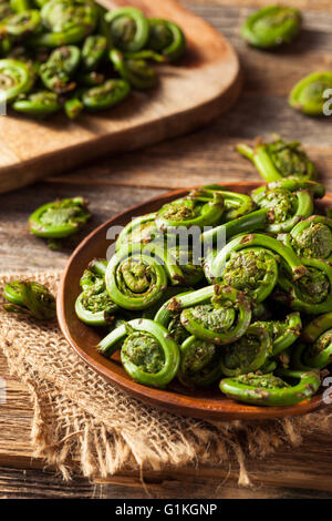 Rohe Bio grüne Farnwedel Farne bereit zum Kochen Stockfoto