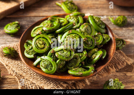 Rohe Bio grüne Farnwedel Farne bereit zum Kochen Stockfoto