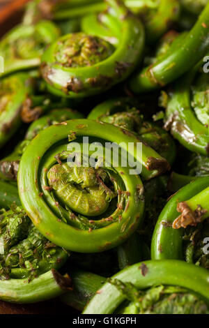 Rohe Bio grüne Farnwedel Farne bereit zum Kochen Stockfoto