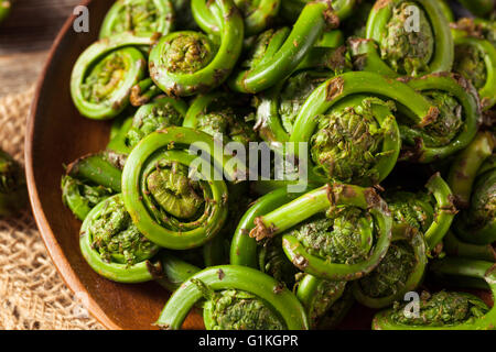 Rohe Bio grüne Farnwedel Farne bereit zum Kochen Stockfoto