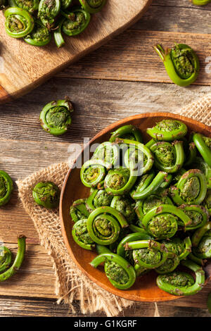 Rohe Bio grüne Farnwedel Farne bereit zum Kochen Stockfoto