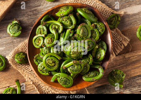 Rohe Bio grüne Farnwedel Farne bereit zum Kochen Stockfoto