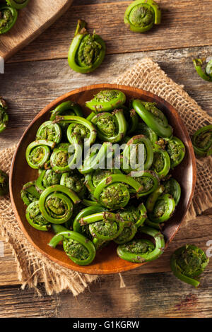 Rohe Bio grüne Farnwedel Farne bereit zum Kochen Stockfoto