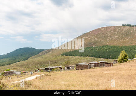 KNYSNA, Südafrika - 5. März 2016: The Buffelsnek Wald Dorf auf dem Prince Alfred Pass zwischen Knysna und Uniondale. Stockfoto