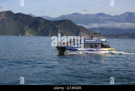 Whale-watching Boot in Kaikoura auf der Südinsel von Neuseeland Stockfoto