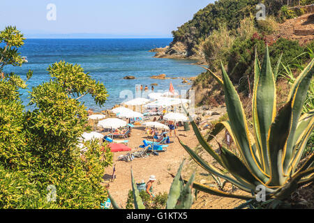 CAVO, Insel ELBA, Italien - ca. AUGUST 2011: Ein Strand in der Nähe von Cavo, Insel Elba, Italien Stockfoto