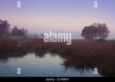 Ländliche, rosa Morgennebel über See Stockfoto