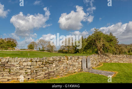 Gräber im Friedhof von Jerpoint Park, die Lage des The Lost Stadt von Newtown Jerpoint, Thomastown, Co. Kilkenny, Irland. Stockfoto