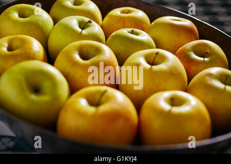 Ein Tablett mit Goldrush Äpfel aus Lancaster, Pennsylvania, USA Stockfoto