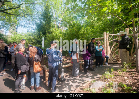 Besucher Line-up Hallett-Naturschutzgebiet im Central Park in New York am Montag, 16. Mai 2016 treten. Geschlossen seit 1934 die 4 Hektar Naturlandschaft mitten in der Stadt ist ein Vogelschutzgebiet und öffnet sich für begrenzte Zeiten auf die öffentlichen nur 20 Personen gleichzeitig betreten. Hunderte standen Schlange, um eingelassen zu werden, um die Landschaft zu bewundern. (© Richard B. Levine) Stockfoto