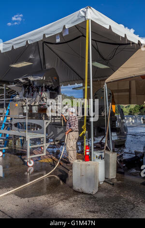 Arbeiter Reinigung Entrappen Maschine, zerquetschen pad, Rutherford, Quintessa, Napa County, Kalifornien, Napa Valley Stockfoto